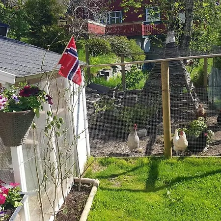 Between Fjord Og Glacier * Ålfoten