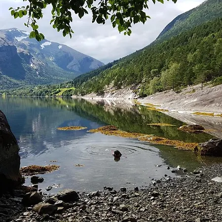 Between Fjord Og Glacier *